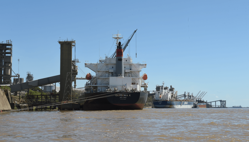 Agosto “histórico”: por qué el trigo marca récord de exportaciones en un momento atípico del año