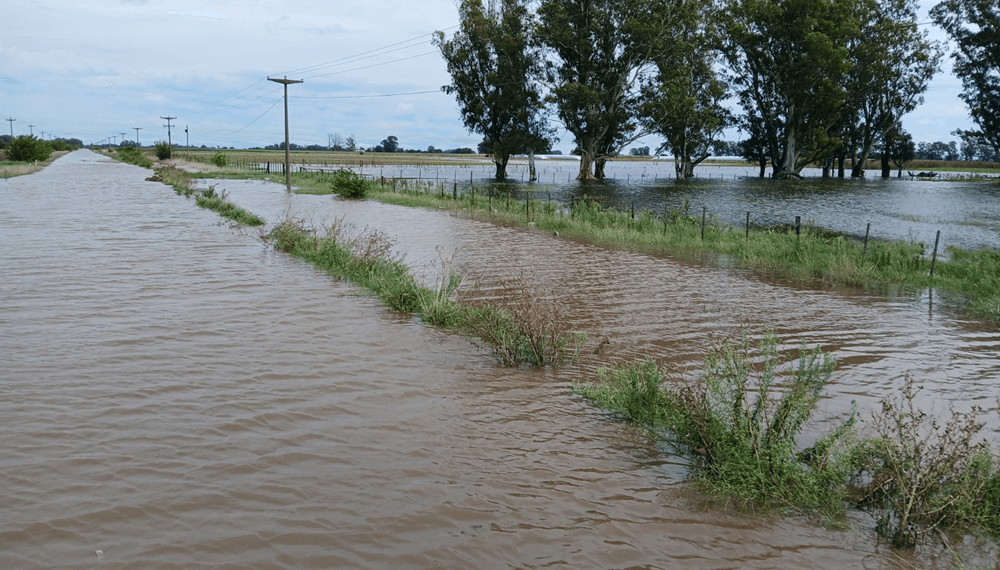 Inundaciones: ARCA habilitó beneficios impositivos para productores en emergencia de Buenos Aires