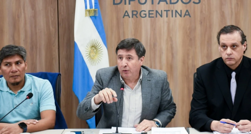 Diputados pone la lupa sobre ANDIS, a la espera de que se aplique la Emergencia en Discapacidad