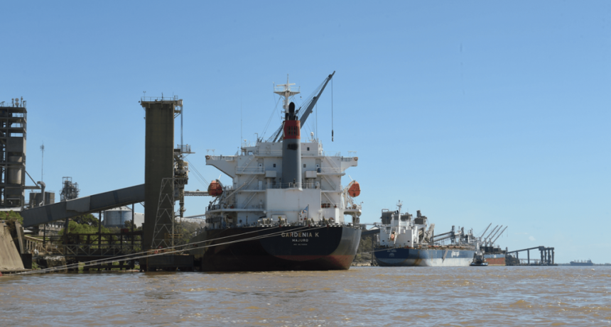 Agosto “histórico”: por qué el trigo marca récord de exportaciones en un momento atípico del año