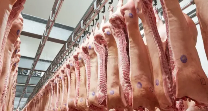 Producción y consumo de carne porcina alcanzan niveles récord en Argentina