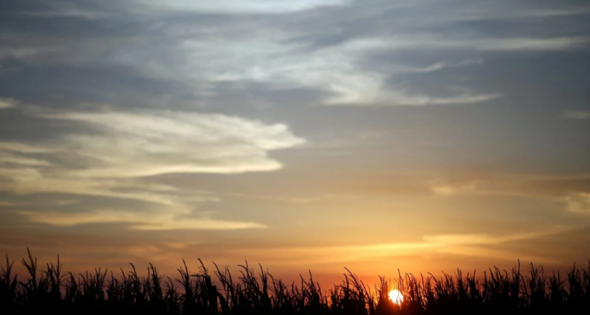 Perspectivas climáticas para la campaña agrícola 2025/26: ¿Regresa La Niña?