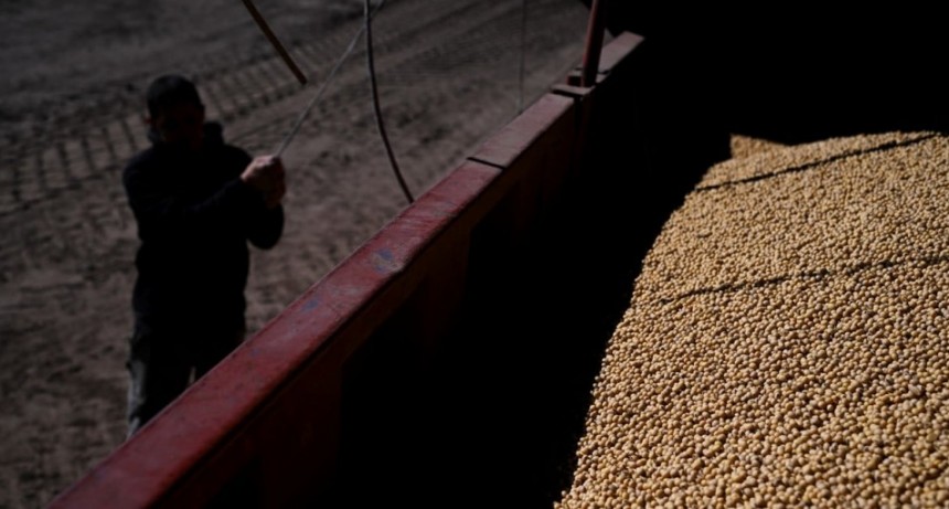 China rompe récord de importaciones de soja