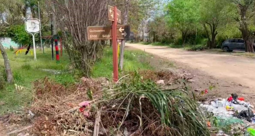 Colastiné Norte: vecinos advierten que viven entre microbasurales y quemas