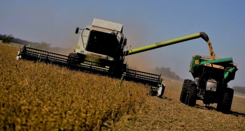 El presupuesto 2026 de Javier Milei no anticipa nuevos beneficios al campo