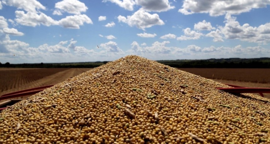 La eliminación de retenciones genera alivio en el campo, pero persisten las dudas a futuro