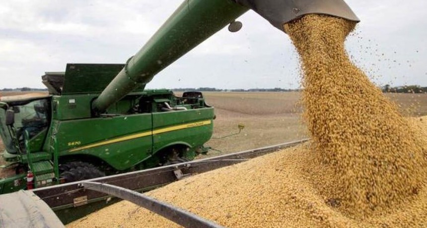 Ranking: cuáles son las agroexportadoras que más aprovecharon la “ventana” sin retenciones