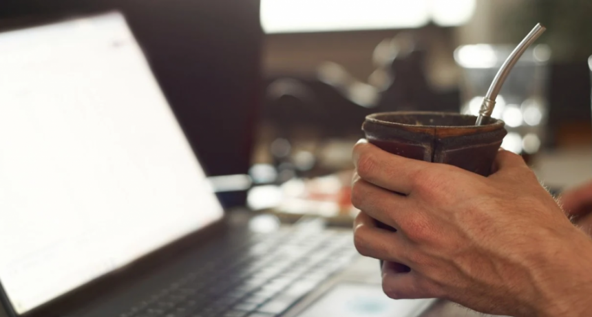 Manzanilla en el mate: qué dice la ciencia sobre sus beneficios para el estrés, la inflamación y la digestión