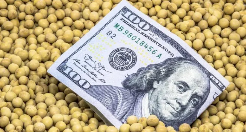 Sojeros de EEUU protestan contra Donald Trump por los aranceles: por qué Argentina y Brasil son los más beneficiados