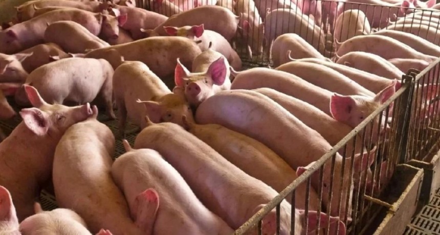 Cr&eacute;ditos en Valor Producto: ya se aprobaron m&aacute;s de $67.000 millones para 440 productores
