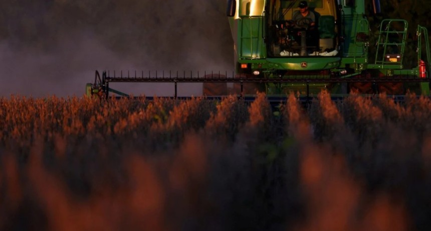 El USDA enfría las apuestas alcistas y pone a los granos frente a un escenario de mayor presión