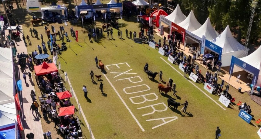 ExpoBRA 2026: qui&eacute;nes fueron los grandes campeones y cu&aacute;nto se pag&oacute; por los reproductores