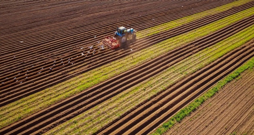 Día Mundial de los Fertilizantes: un recurso clave para asegurar los alimentos que demanda el mundo