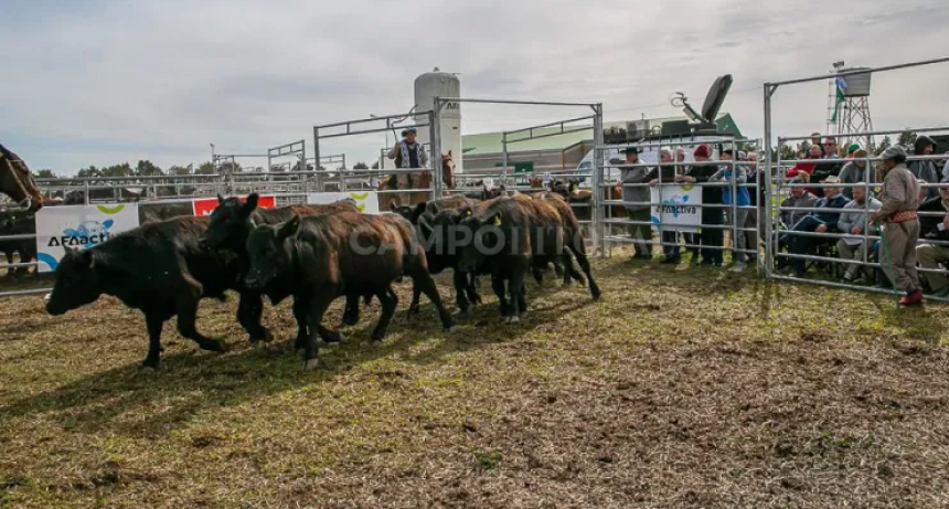 AFAactiva tuvo su primera edici&oacute;n 