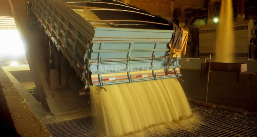  Casi 10 millones de toneladas de soja salieron de los silos gracias al "d&oacute;lar Massa"