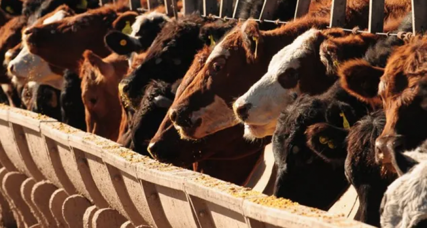 Senasa desarroll&oacute; tableros din&aacute;micos