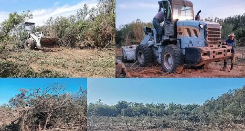 Tras el fuego, denuncian que lleg&oacute; maquinaria pesada a las islas para destruir el monte nativo