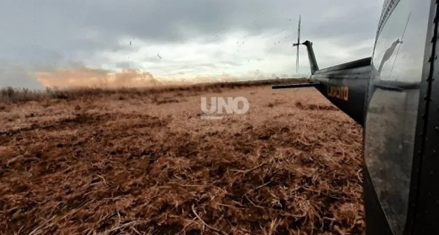 Proponen declarar al delta del Paran&aacute; "zona de desastre natural" por los incendios