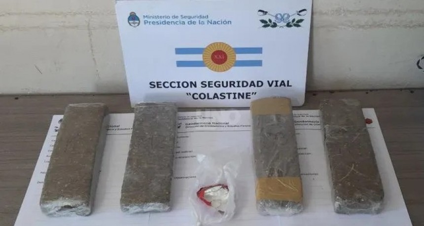Un perro de Gendarmer&iacute;a hall&oacute; una encomienda con m&aacute;s de tres kilos de marihuana que iba a Paran&aacute;