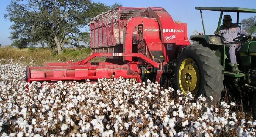  Cr&eacute;ditos para la producci&oacute;n algodonera 