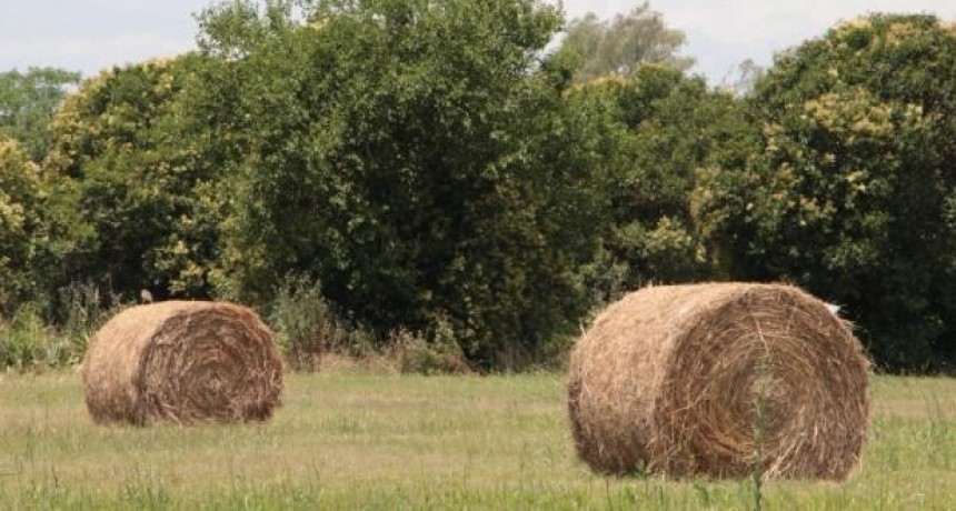 Se encuentran disponibles los cr&eacute;ditos para productores agropecuarios santafesinos a tasa subsidiada