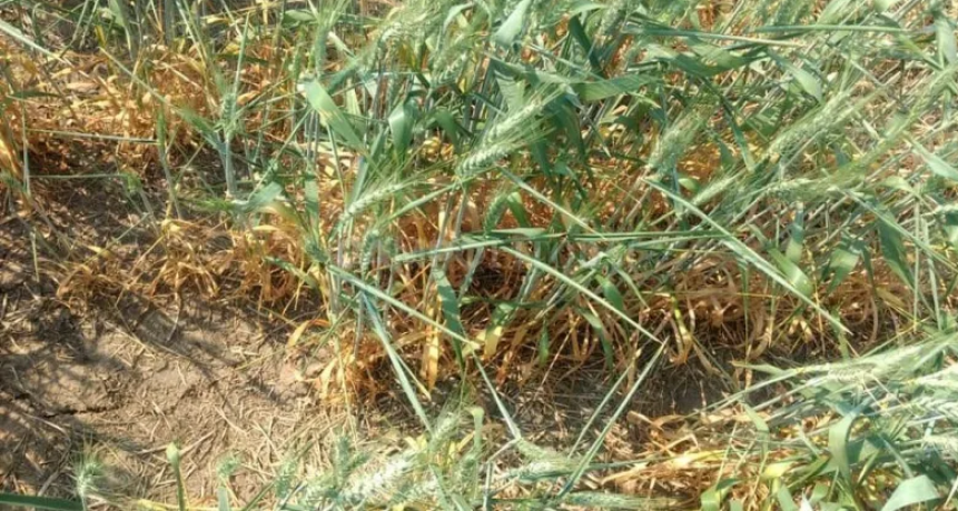 Se sigue extendiendo el &aacute;rea con reservas h&iacute;dricas deficitarias