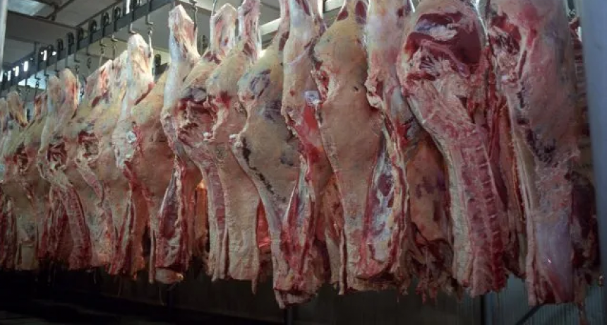 Frigor&iacute;ficos de Santa Fe afirman que "no est&aacute;n preparados" para el nuevo troceo de carne vacuna