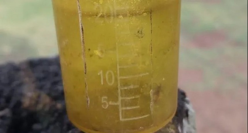 Los pluvi&oacute;metros volvieron a juntar lluvia pero a no ilusionarse