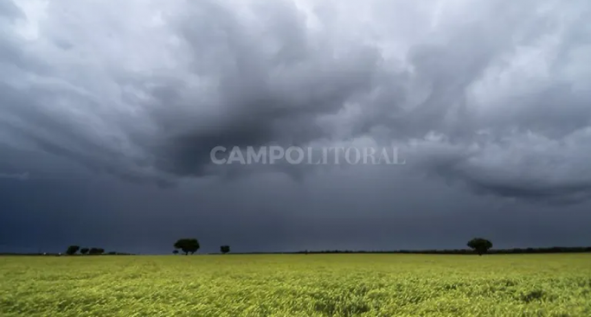 La lluvia gener&oacute; un "cambio de &aacute;nimo" en el norte provincial 