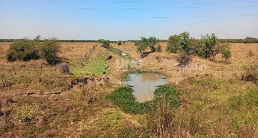Denuncian que canales ilegales en San Justo provocan una enorme sequ&iacute;a: "El da&ntilde;o ecol&oacute;gico es grand&iacute;simo"