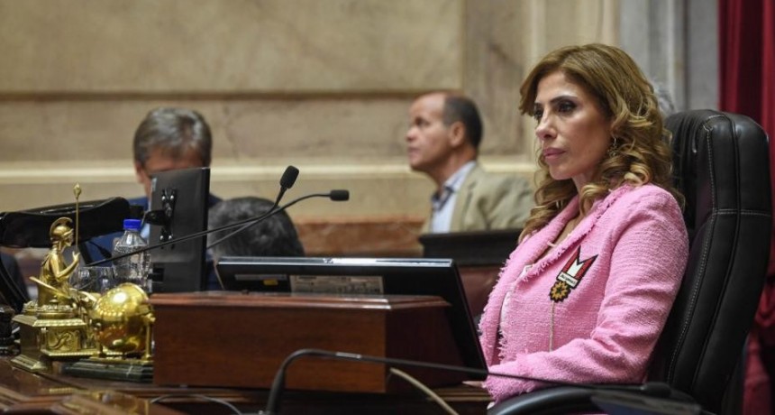 La senadora Zamora presidi&oacute; la sesi&oacute;n en la que se prorrogaron las asignaciones a industrias culturales y el R&eacute;gimen de regulaci&oacute;n dominial para la integraci&oacute;n sociourbana