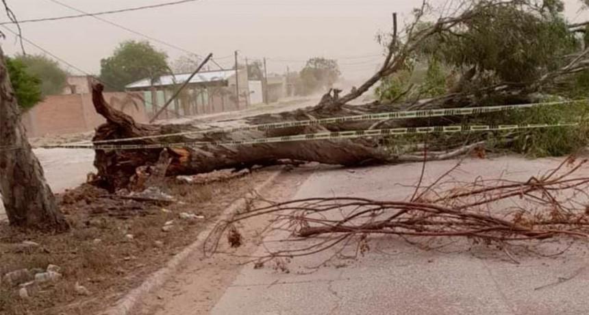 Quimil&iacute;: el fuerte viento provoc&oacute; la ca&iacute;da de &aacute;rboles y postes