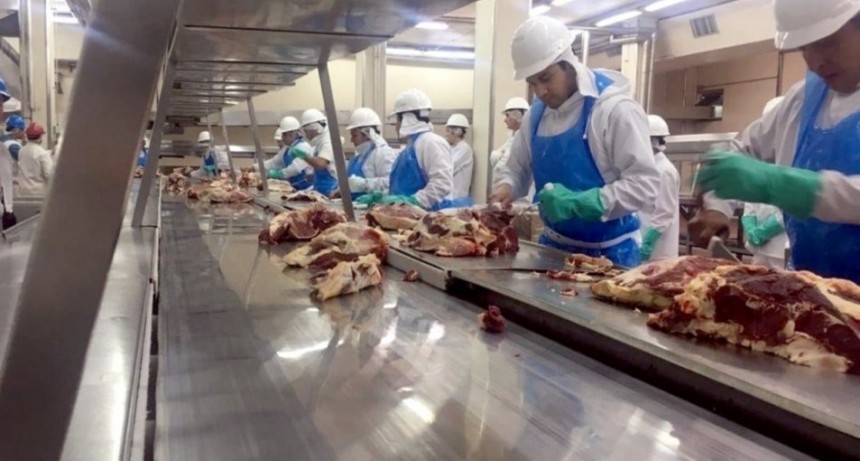 La exportación de carne bovina se ve 