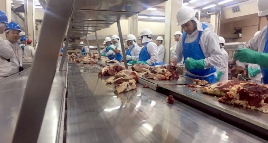 La exportación de carne bovina se ve 