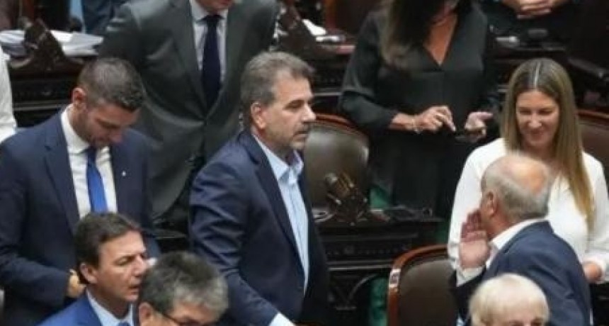 El PRO anunció su apoyo al veto del Gobierno a la ley universitaria