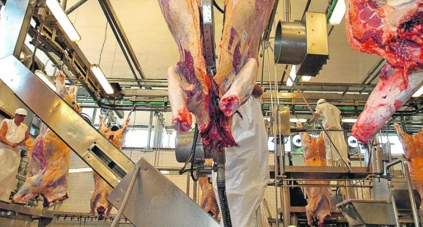 Actualizan una herramienta online para que el ganadero sepa más sobre la faena de su animal