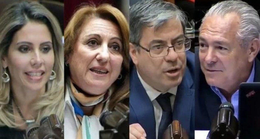 Veto al financiamiento universitario: ¿Cómo votaron los 19 diputados por Santa Fe?