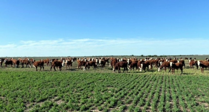 Respiran los productores de San Justo gracias a las últimas lluvias, pero los desafíos no terminan