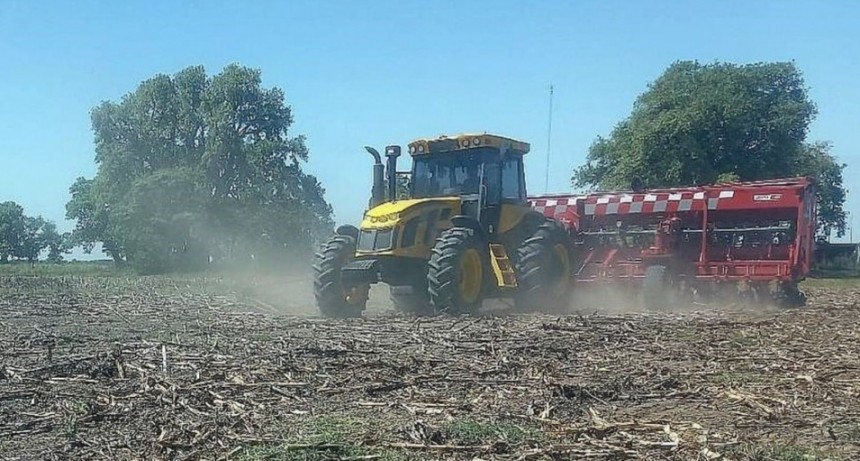 Comenzó la siembra de soja con una proyección récord en el centro norte santafesino