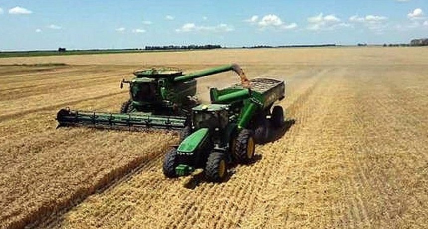 Levantan los rindes del trigo a medida que avanza la trilla en el norte santafesino