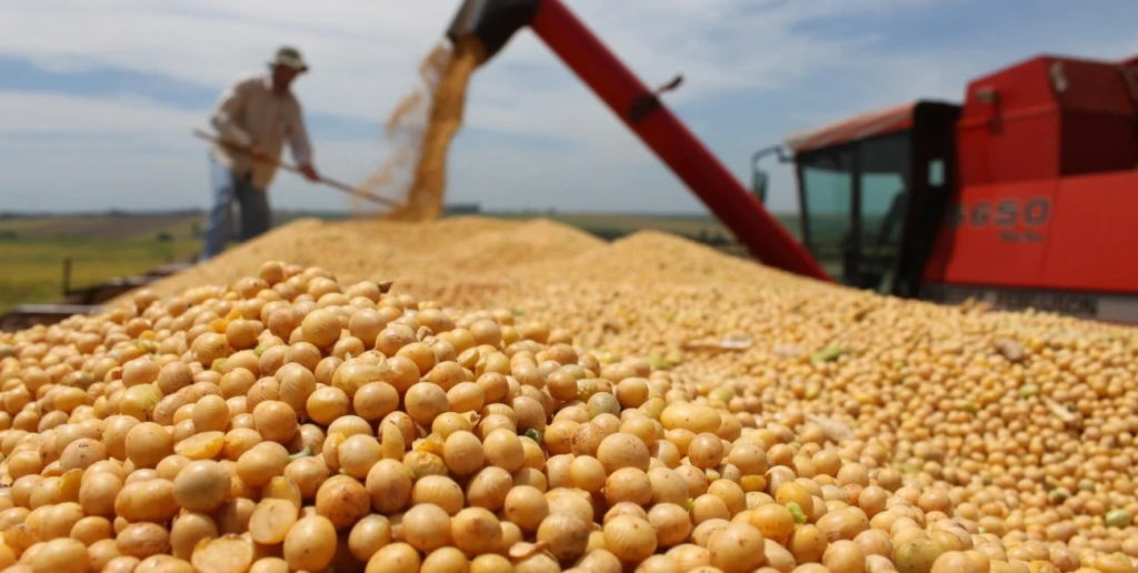 Coninagro Santa Fe: 