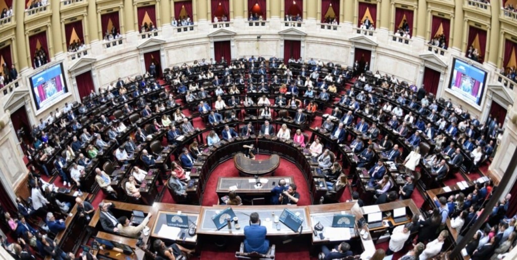 Financiamiento universitario y Garrahan: otras dos leyes promulgadas pero sin fondos