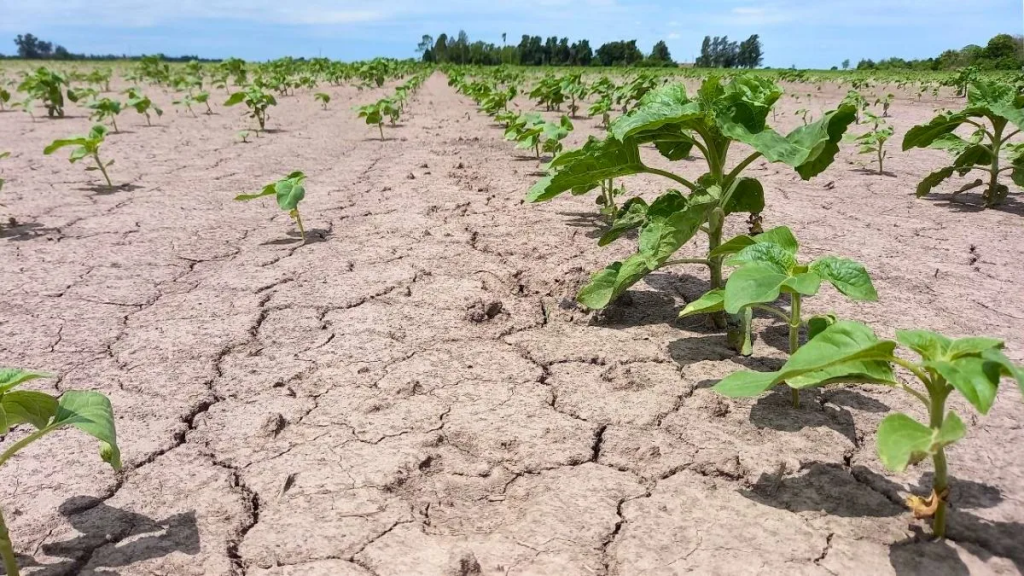 Inició La Niña: cómo están las reservas de agua para afrontar esta situación
