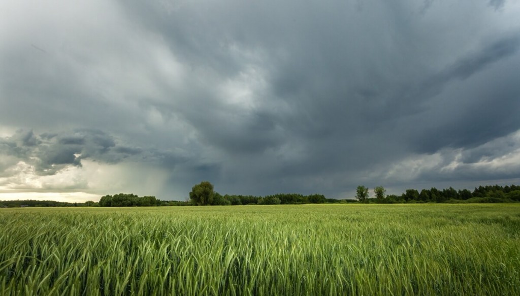 Volvió el invierno: avanza un frente frío, con riesgo de heladas que podrían afectar a los cultivos