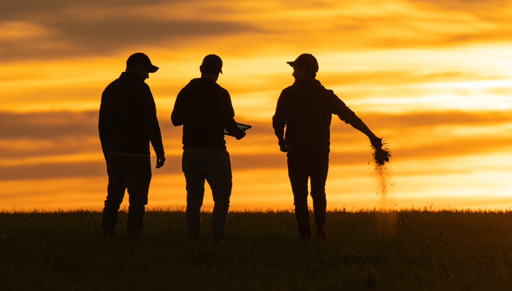 Argentina post elecciones: una nueva era para el campo, con la desregulación como oportunidad