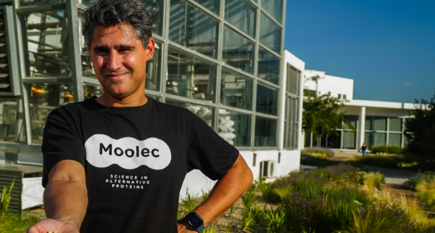 Estados Unidos aprobó un desarrollo argentino que logra que la semilla de soja produzca proteína de carne de cerdo