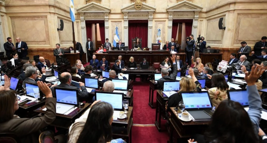 El Senado rechazó el decreto que paraliza la Ley de Emergencia en Discapacidad