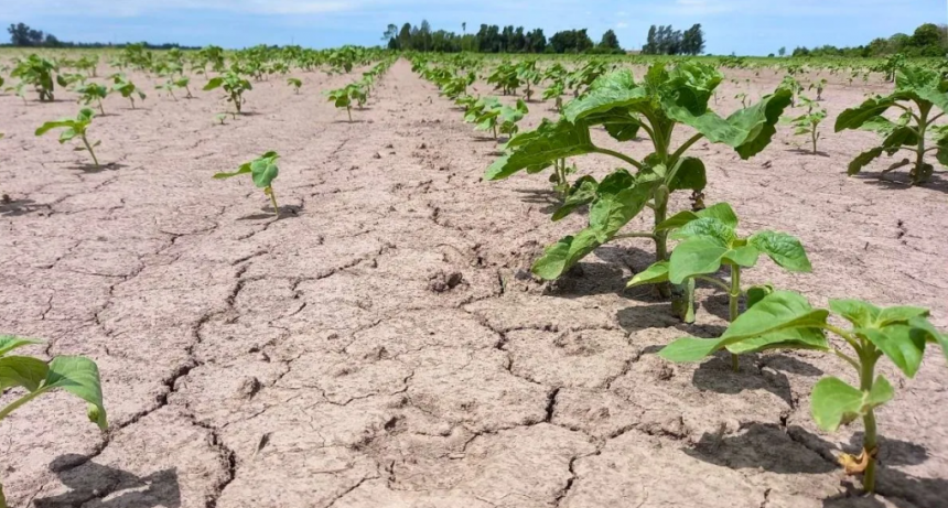Inició La Niña: cómo están las reservas de agua para afrontar esta situación