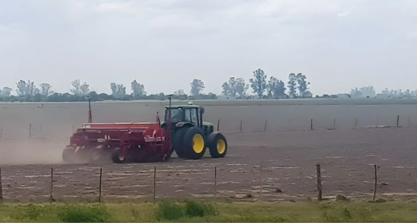Comenzó la siembra de soja en el centro norte de Santa Fe y se proyecta una superficie récord