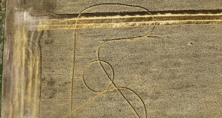 Fenómeno inexplicable: misteriosas líneas en un lote de trigo en Avellaneda